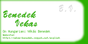 benedek vekas business card